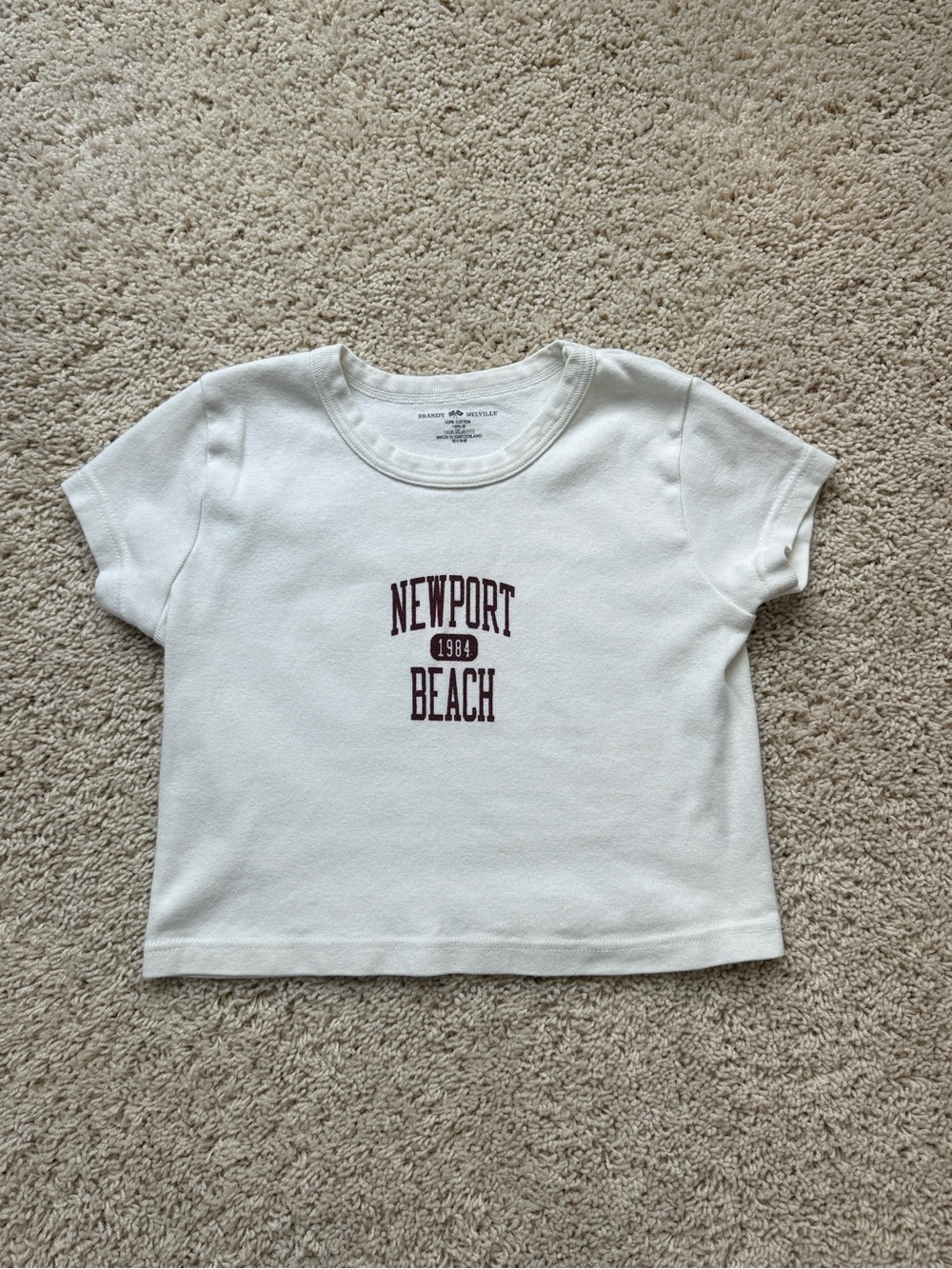 Brandy Melville graphic crop top